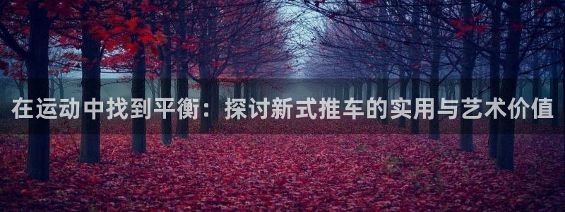 星欧娱乐发7O777：在运动中找到平衡：探讨新式推车的实用与